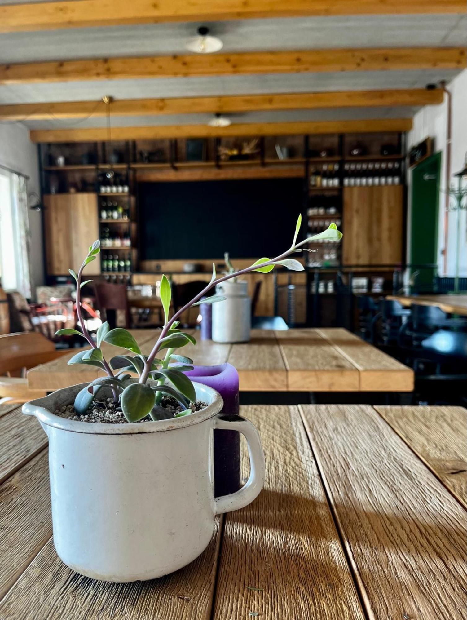 Penzion A Bistro Stary Kopec Зноймо Экстерьер фото